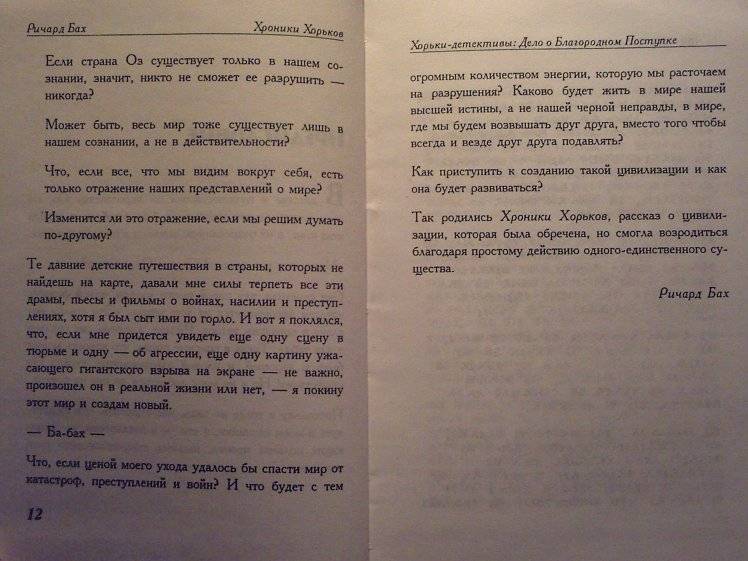 Иллюстрация 10 из 10 для Хроники Хорьков. Хорьки-детективы: Дело о Благородном Поступке - Ричард Бах | Лабиринт - книги. Источник: Pracriti