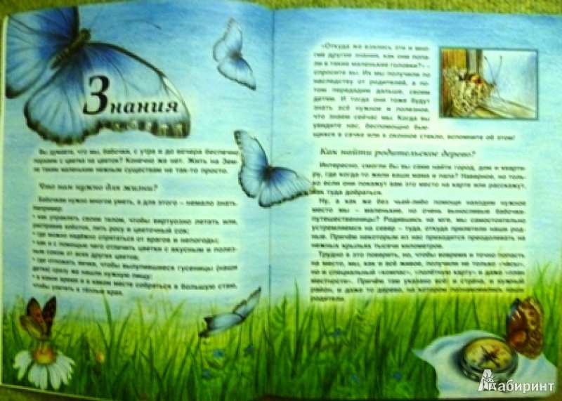 Иллюстрация 7 из 13 для Насекомые - Татьяна Жданова | Лабиринт - книги. Источник: alex-sandr