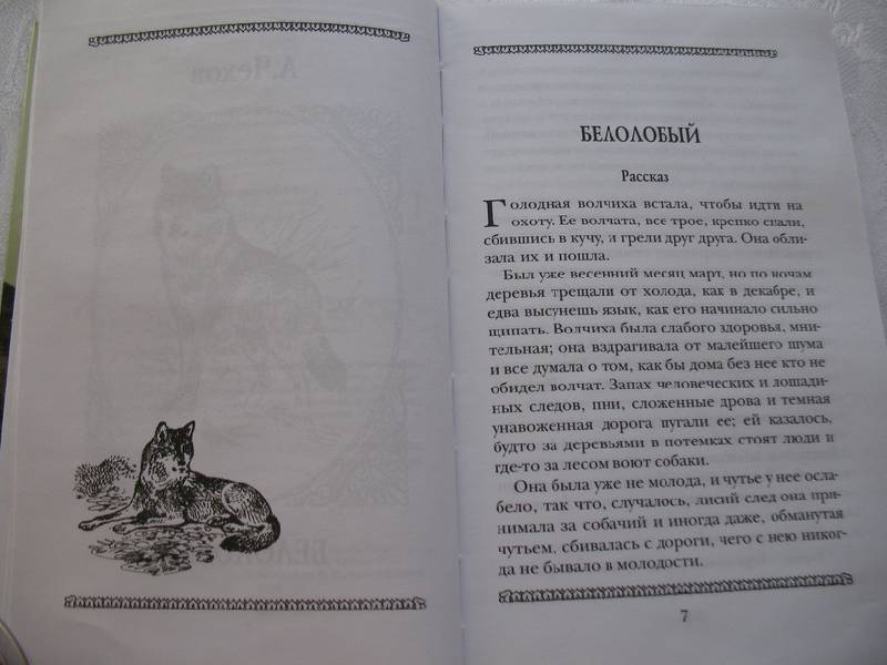 Иллюстрация 15 из 29 для Виннипегский волк,  Арго и другие... | Лабиринт - книги. Источник: tayana