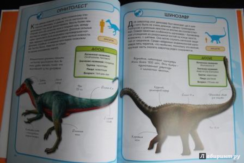 Иллюстрация 10 из 29 для Динозавры - Стив Паркер | Лабиринт - книги. Источник: Фролова  Екатерина
