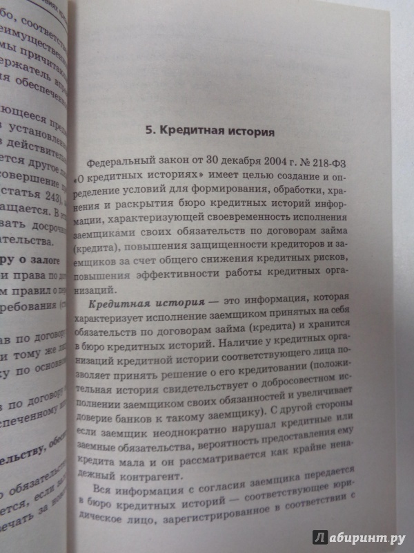 Иллюстрация 6 из 7 для Как вернуть кредит в условиях кризиса - Тимошенко, Камышанова | Лабиринт - книги. Источник: Сокол-Ан