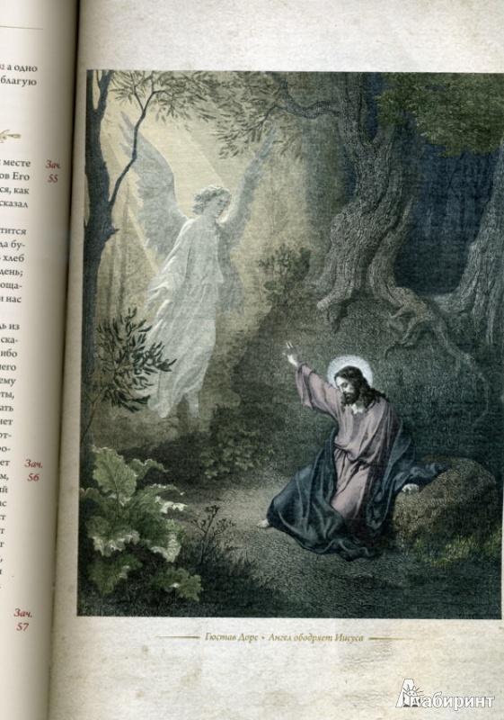 Иллюстрация 5 из 30 для Новый Завет | Лабиринт - книги. Источник: Irina-Rain