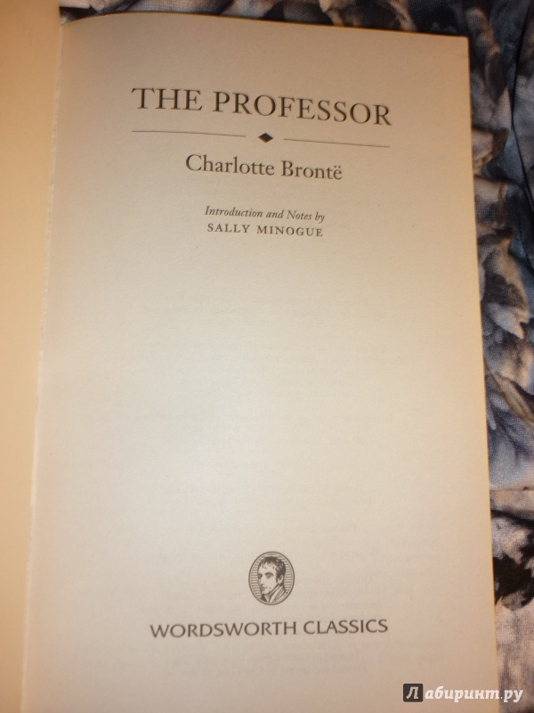 Иллюстрация 5 из 12 для The Professor - Charlotte Bronte | Лабиринт - книги. Источник: Lapsus Linguae