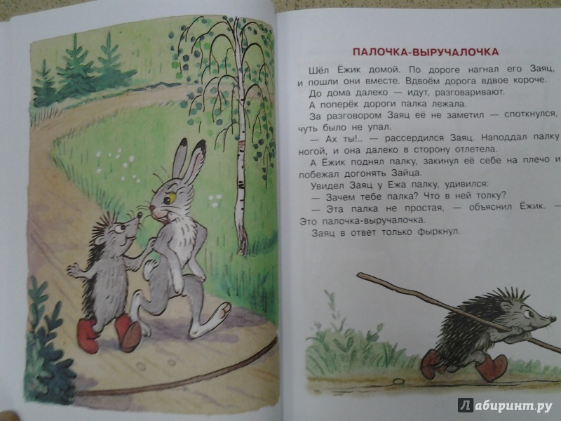 Иллюстрация 19 из 43 для В мире сказок В.Сутеева - Владимир Сутеев | Лабиринт - книги. Источник: Olga
