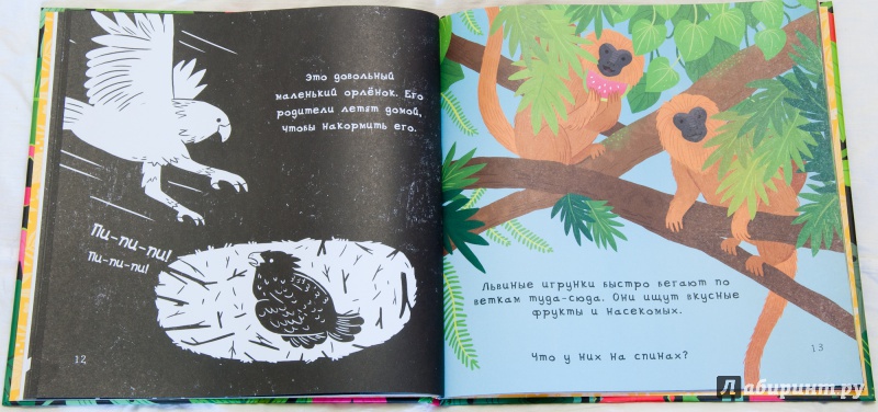 Иллюстрация 5 из 16 для Что скрывают джунгли? - Браун, Нэсснер | Лабиринт - книги. Источник: GoldenKitten