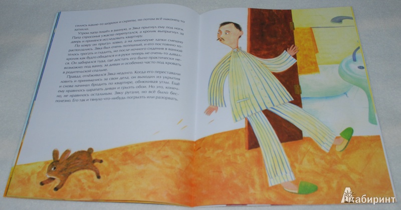Иллюстрация 16 из 44 для Декоративный Зяка - Олег Корниенко | Лабиринт - книги. Источник: Книжный кот
