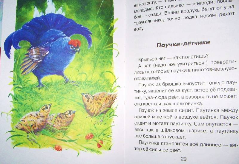 Иллюстрация 4 из 4 для Лесные детеныши - Виталий Бианки | Лабиринт - книги. Источник: Читательница