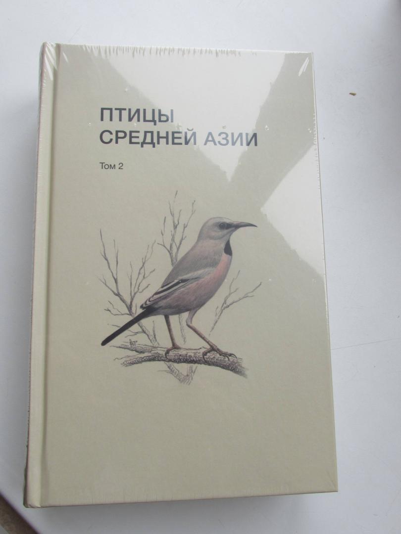 важных птицы средней азии в картинках расскажем ценах фотографов