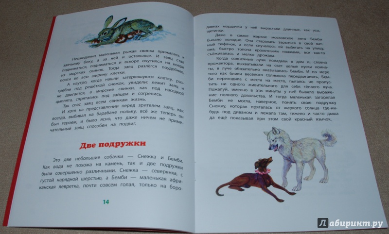 Иллюстрация 11 из 20 для Театр зверей дедушки Дурова - Наталия Дурова | Лабиринт - книги. Источник: Книжный кот