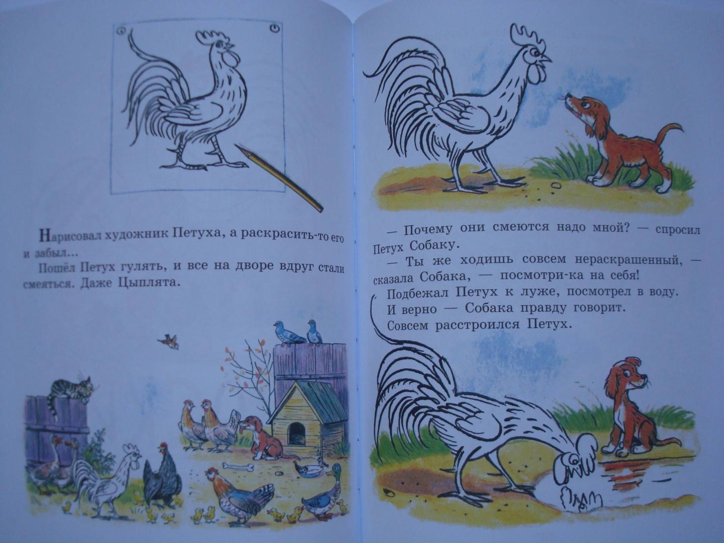 Иллюстрация 108 из 165 для Сказки и картинки - Владимир Сутеев | Лабиринт - книги. Источник: Без-Ника