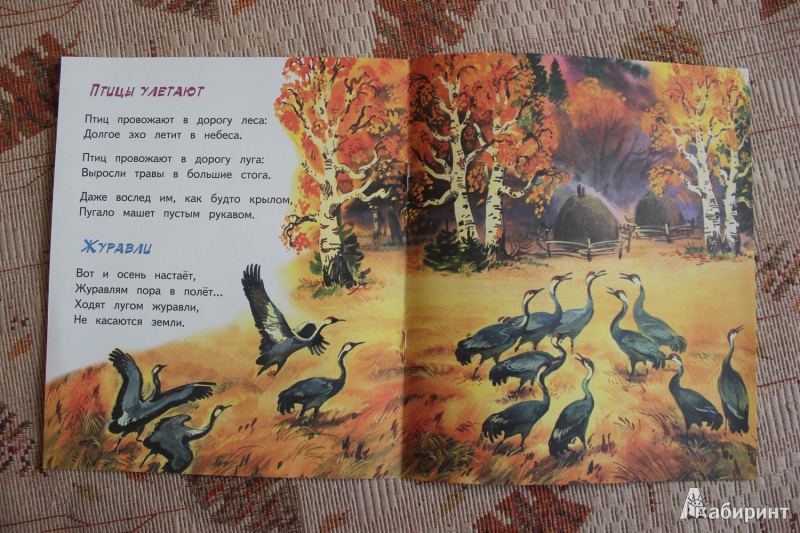Иллюстрация 13 из 15 для Осень - рыжая лиса - Владимир Степанов | Лабиринт - книги. Источник: Глушко  Александр