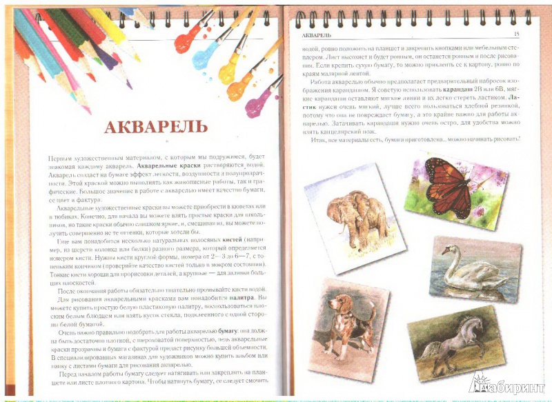 Иллюстрация 4 из 9 для Рисуем животных - Алла Марковская | Лабиринт - книги. Источник: kira belova
