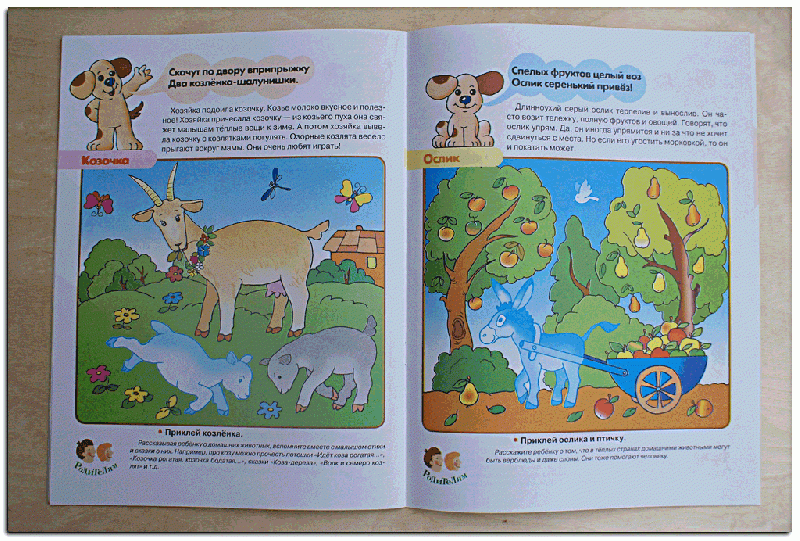 Иллюстрация 7 из 16 для Домашние животные. Первые уроки 3+ - Софья Буланова | Лабиринт - книги. Источник: РИВА