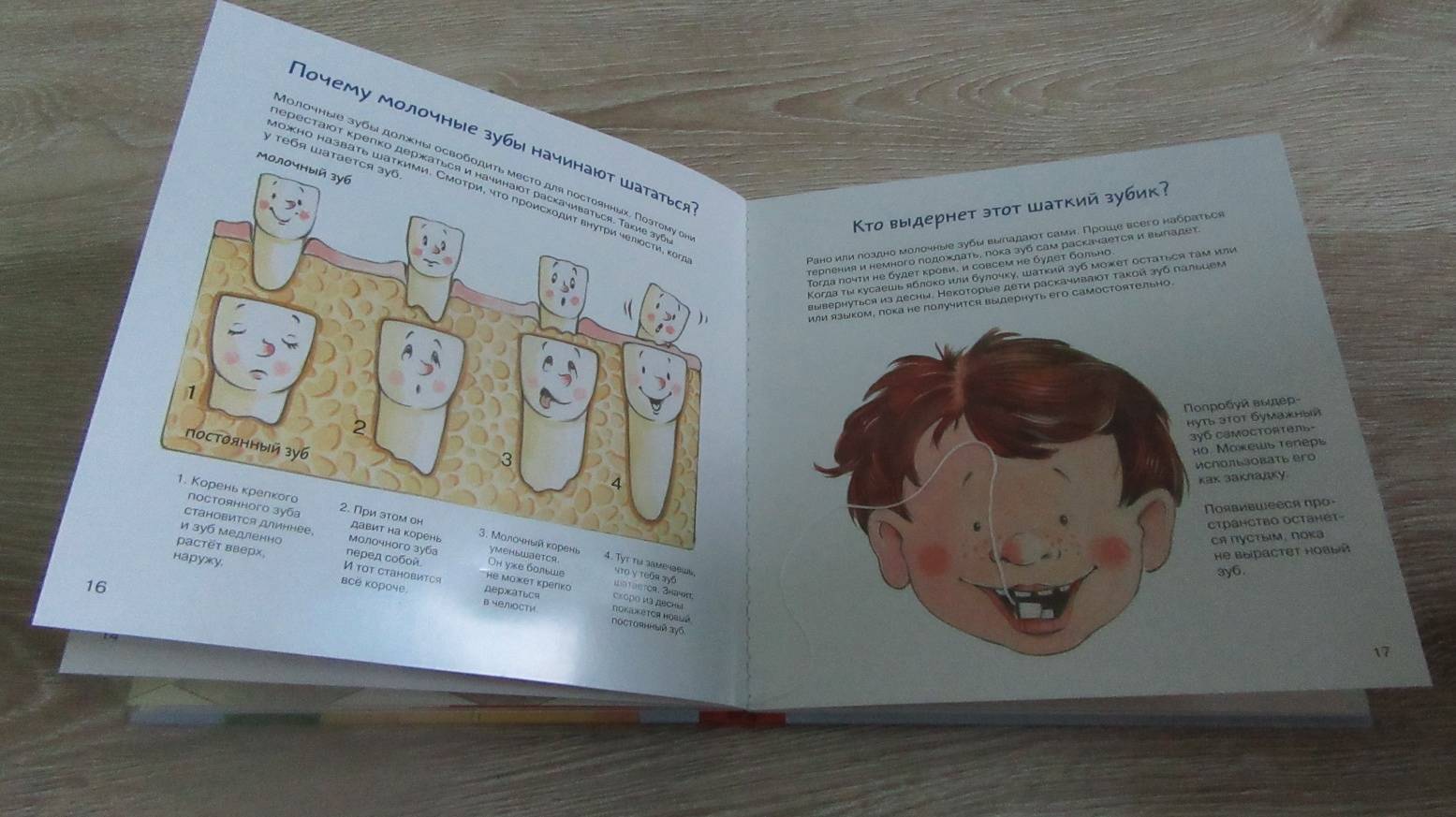 Иллюстрация 78 из 145 для Зубная книга. Все о твоих молочных зубах - Ивона Радюнц | Лабиринт - книги. Источник: дюдюка барбидокская