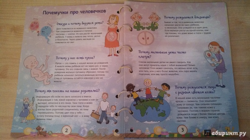 Иллюстрация 91 из 136 для Почему трава зелёная и еще 100 детских почему - Татьяна Яценко | Лабиринт - книги. Источник: Лабиринт