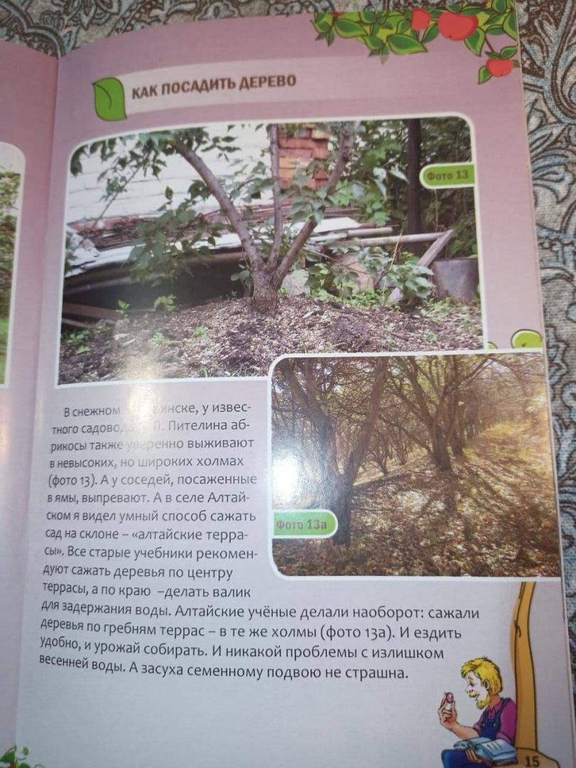 Иллюстрация 17 из 25 для Как посадить дерево - Николай Курдюмов | Лабиринт - книги. Источник: Kаpповa  Oльгa