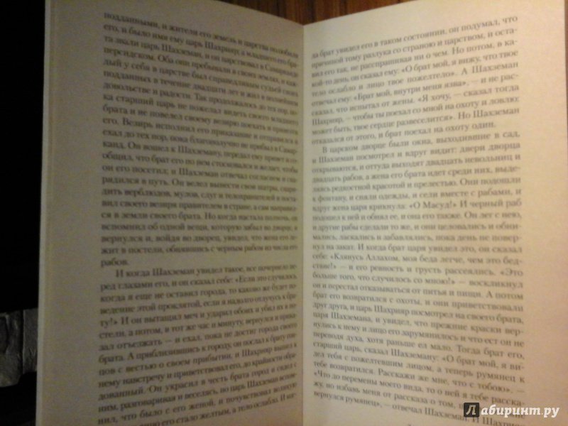 Иллюстрация 6 из 10 для Тысяча и одна ночь. Али-баба и сорок разбойников. Синдбад-мореход. Сказки | Лабиринт - книги. Источник: Виктория