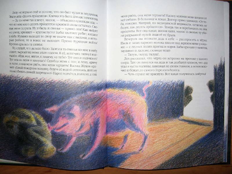 Иллюстрация 39 из 63 для Кот-ворюга - Константин Паустовский | Лабиринт - книги. Источник: Red cat ;)