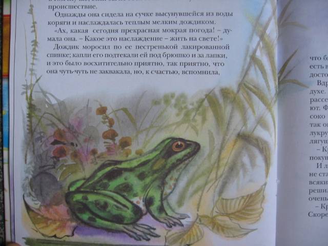 Иллюстрация 7 из 31 для Алёнушкины сказки | Лабиринт - книги. Источник: shvester