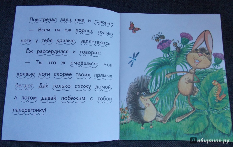 Иллюстрация 23 из 31 для Ёж и заяц - Лев Толстой | Лабиринт - книги. Источник: Sweet mama