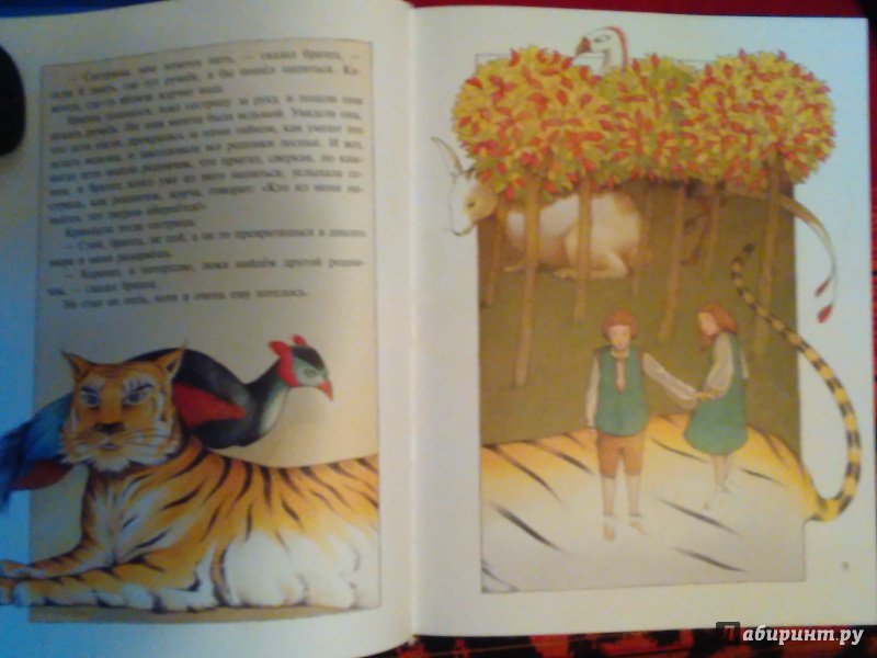 Иллюстрация 43 из 62 для Самые красивые сказки со всего света | Лабиринт - книги. Источник: Ольга