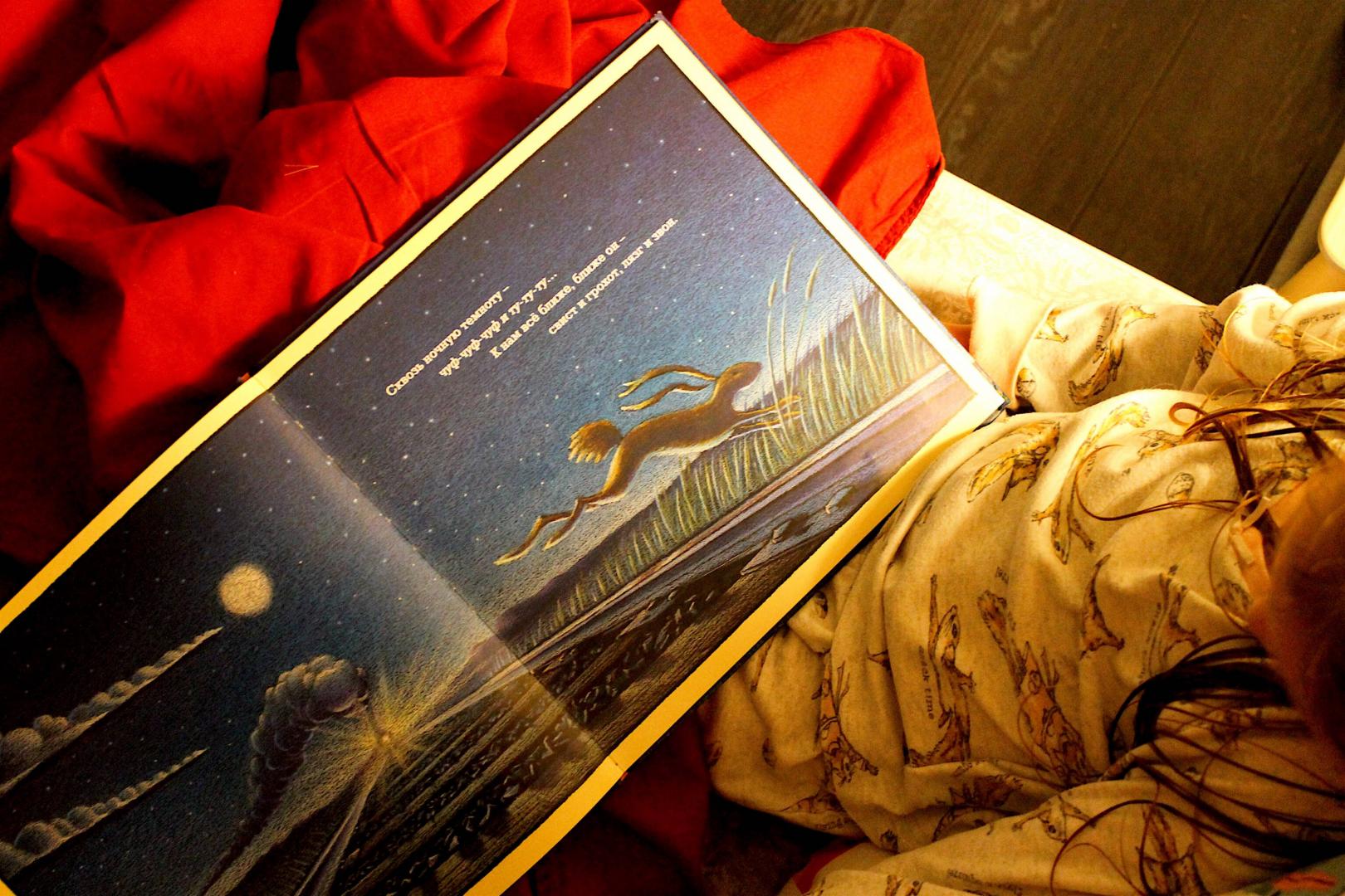 Иллюстрация 83 из 95 для Чудный поезд мчится в сон - Ринкер Даски | Лабиринт - книги. Источник: Fomina  Ksenia