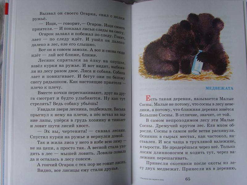 Рассказ чарушина 4 класс читать. Книга Чарушин рассказы про зверей и птиц.