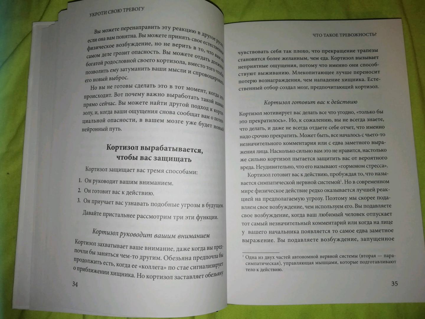 Иллюстрация 19 из 69 для Укроти свою тревогу. Перепрограммируй мозг для счастья - Лоретта Бройнинг | Лабиринт - книги. Источник: Андреева  Анжелика