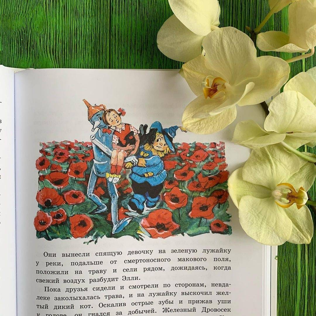 Иллюстрация 86 из 100 для Волшебник Изумрудного города - Александр Волков | Лабиринт - книги. Источник: Отзывы читателей