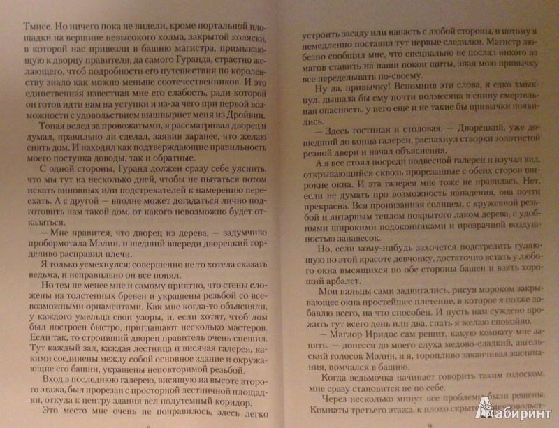 Иллюстрация 4 из 16 для Вожак для принцессы - Вера Чиркова | Лабиринт - книги. Источник: Katty