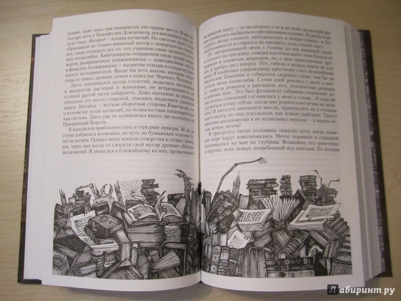 Иллюстрация 39 из 73 для Город Мечтающих Книг - Вальтер Моэрс | Лабиринт - книги. Источник: Helga1990