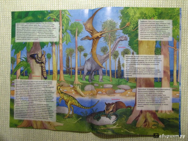 Иллюстрация 13 из 28 для Прогулки юрского периода (+3D-очки) | Лабиринт - книги. Источник: leo tolstoy