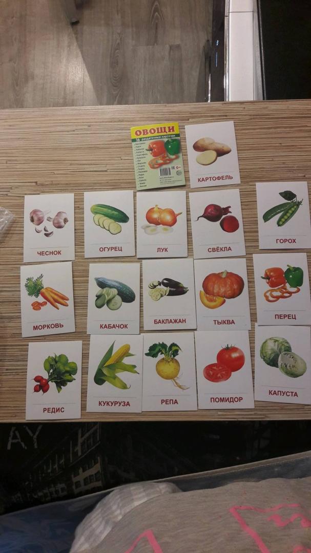 Иллюстрация 18 из 19 для Раздаточные карточки "Овощи" (63х87 мм) | Лабиринт - книги. Источник: Марина