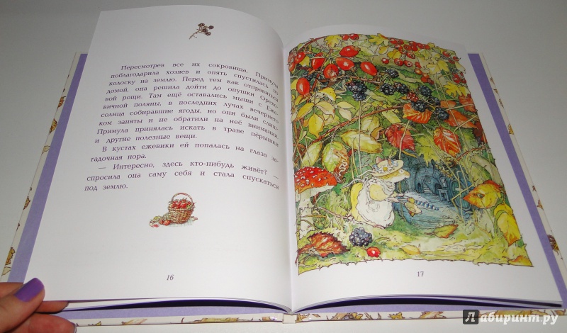 Иллюстрация 14 из 42 для Осенняя история - Джилл Барклем | Лабиринт - книги. Источник: Lucid Dream
