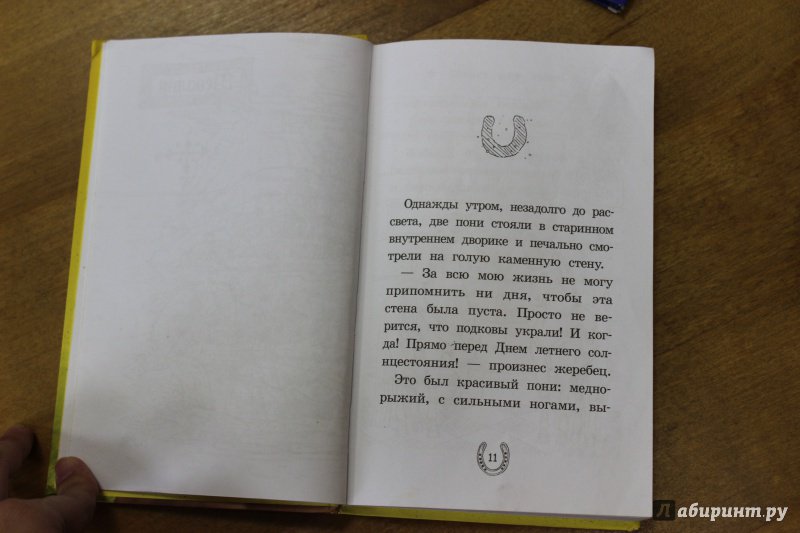 Иллюстрация 16 из 19 для Секрет для пони - Хлое Райдер | Лабиринт - книги. Источник: Полецкая  Яна