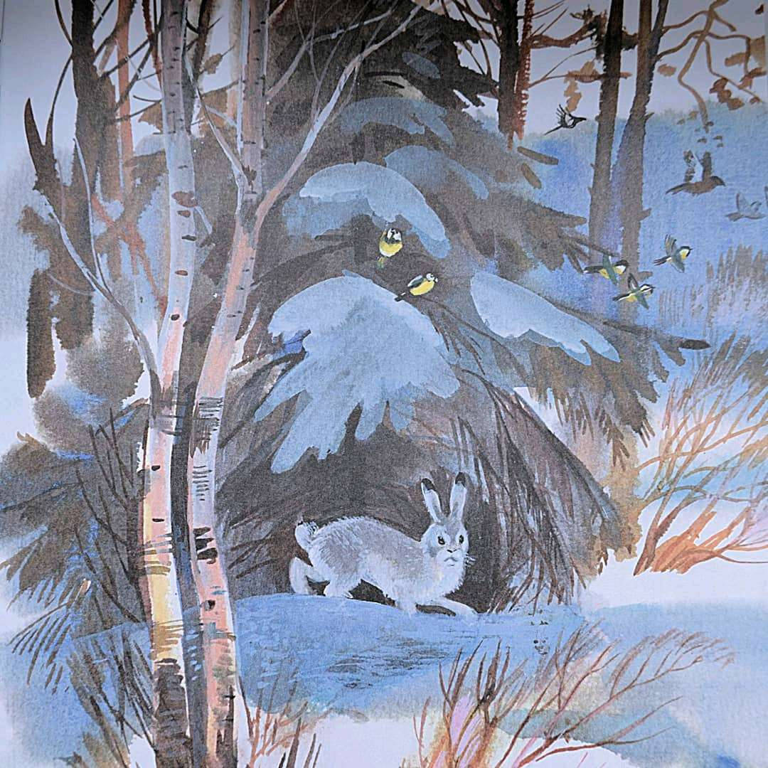 Иллюстрация 53 из 54 для Беличья память - Михаил Пришвин | Лабиринт - книги. Источник: Зайкова Дарья