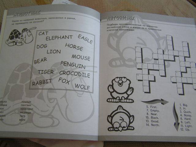 Иллюстрация 7 из 12 для Мои первые английские кроссворды. Розовая | Лабиринт - книги. Источник: ИринаИ