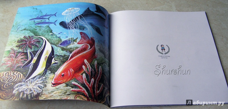 Иллюстрация 11 из 42 для Рыбы - Николай Сладков | Лабиринт - книги. Источник: Shurshun