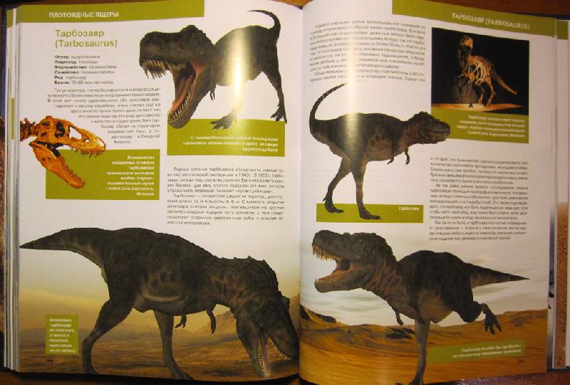 Иллюстрация 33 из 37 для Динозавры - Антон Малютин | Лабиринт - книги. Источник: Velena