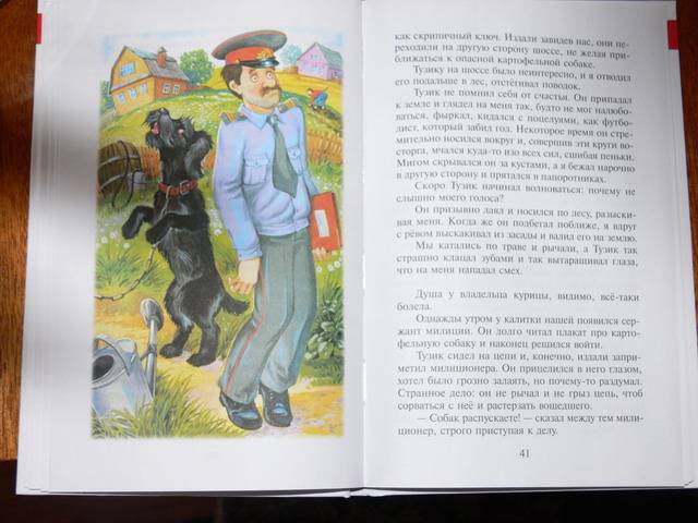 Иллюстрация 34 из 55 для Алый и другие рассказы - Юрий Коваль | Лабиринт - книги. Источник: Irbis