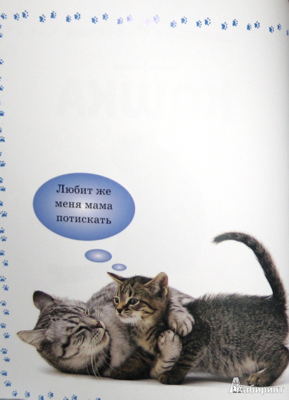 Иллюстрация 19 из 26 для Кошка - Мэтью Рейнер | Лабиринт - книги. Источник: СветланаС