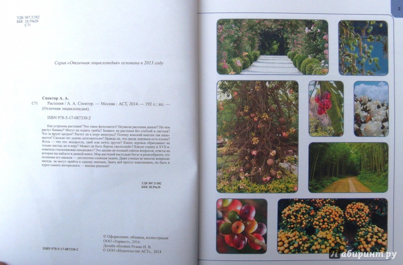 Иллюстрация 4 из 31 для Растения - Анна Спектор | Лабиринт - книги. Источник: Соловьев  Владимир