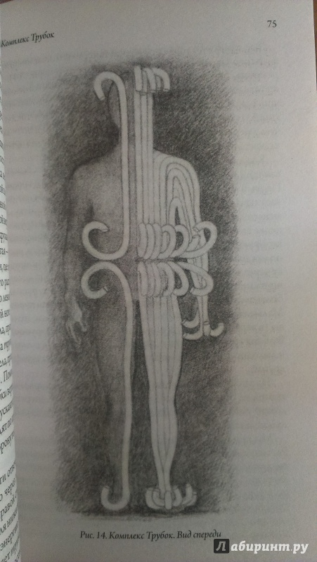 Иллюстрация 10 из 26 для Энергетическая анатомия. Руководство к пониманию и использованию Энергетической Системы Человека - Марк Рич | Лабиринт - книги. Источник: Юлия