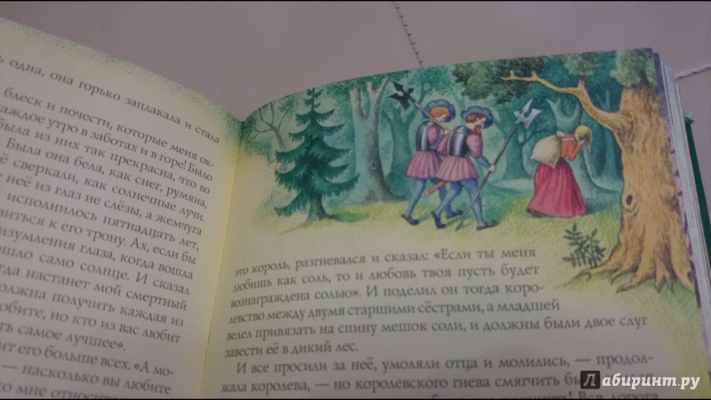 Иллюстрация 21 из 35 для Сказки - Гримм Якоб и Вильгельм | Лабиринт - книги. Источник: anka46