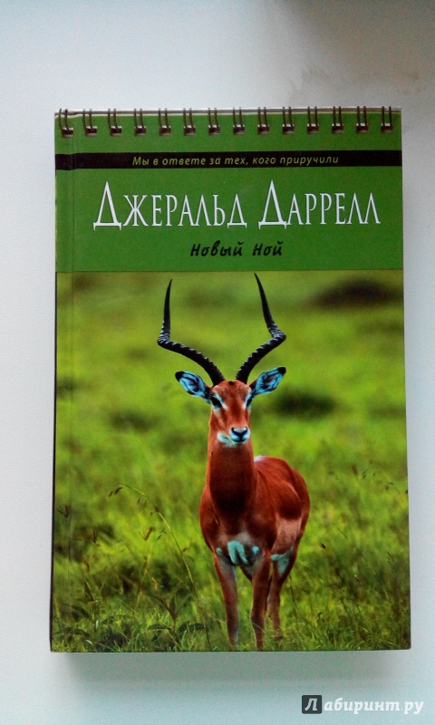 Иллюстрация 2 из 22 для Новый Ной - Джеральд Даррелл | Лабиринт - книги. Источник: Путилина  Ирина Сергеевна