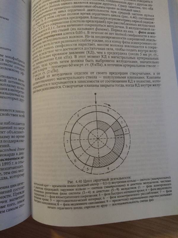 Иллюстрация 5 из 7 для Медицинская биофизика. Учебник - Владимир Самойлов | Лабиринт - книги. Источник: lehruntos