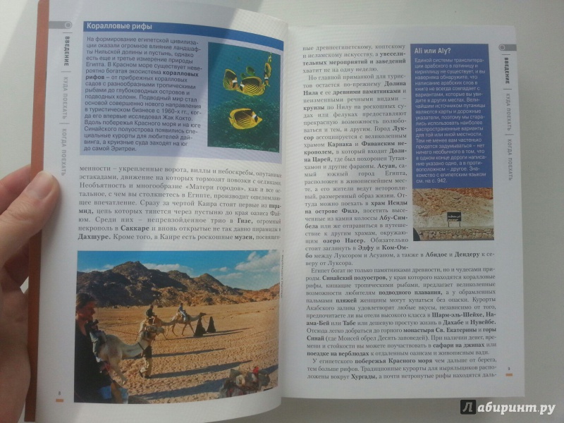 Иллюстрация 8 из 24 для Египет - Ричардсон, Джейкобс | Лабиринт - книги. Источник: VALERIYA