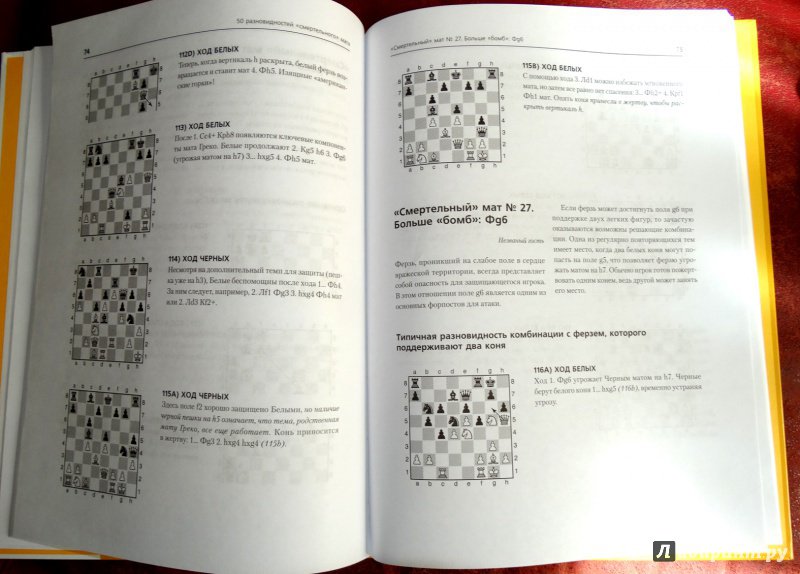 Иллюстрация 16 из 30 для Шахматы для детей. Поставь папе мат! - Мюррей Чендлер | Лабиринт - книги. Источник: nata_romina