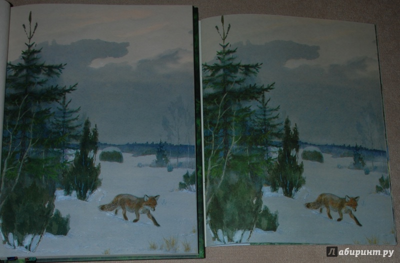 Иллюстрация 43 из 64 для Зима в лесу - Иван Соколов-Микитов | Лабиринт - книги. Источник: Книжный кот