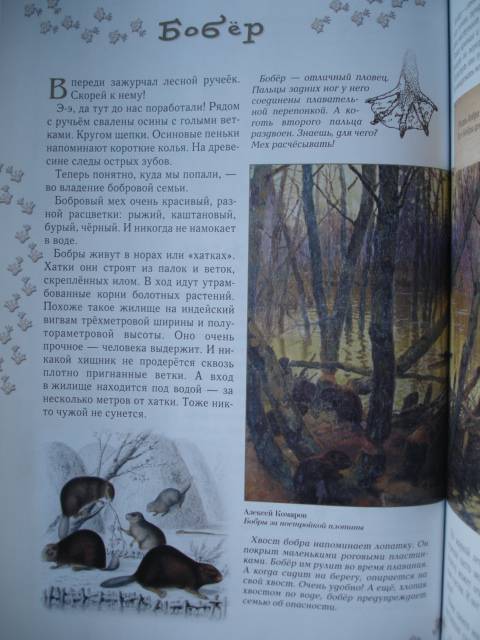 Иллюстрация 82 из 94 для Прогулки по лесу - Сергей Махотин | Лабиринт - книги. Источник: Blackboard_Writer
